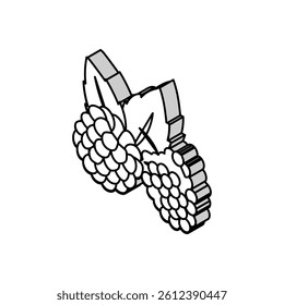 raspberry plant leaf fresh isometric icon vector. raspberry plant leaf fresh sign. isolated symbol illustration