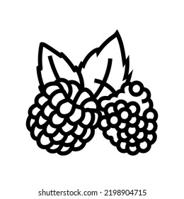 raspberry plant leaf fresh line icon vector. raspberry plant leaf fresh sign. isolated contour symbol black illustration