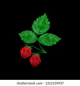 Raspberry in polygonal stule on black background vector