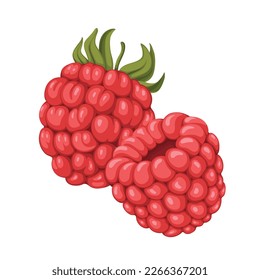 frambuesa baya roja fruta de baya alimento sana de vectores crudo bayas frescas naturaleza jugosa