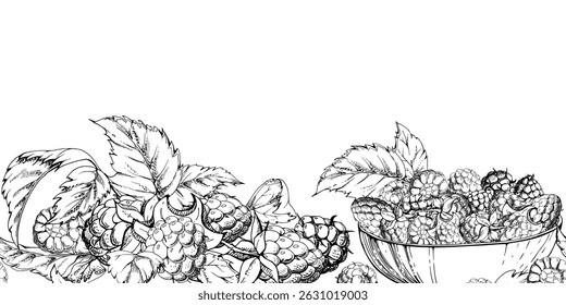 Frambuesas maduras con hojas servidas en cuencos de vidrio, dibujadas a mano en tinta de Vector, cosecha recogida dispersa. Anuncio sin costuras aislado. Menú de la cafetería del postre, libro de cocina, mercado de agricultores de la artesanía, jardinería eco