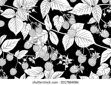 Raspberry. Ripe berries on branch. Seamless pattern, background. Outline drawing. Vector illustration in black and white colors