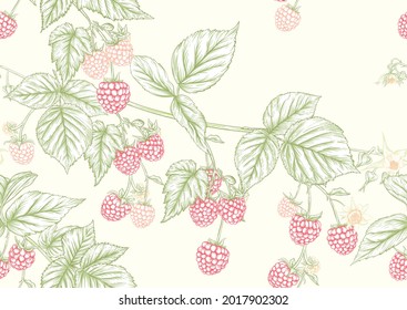 Raspberry. Ripe berries on branch. Seamless pattern, background. Graphic drawing, engraving style. Vector illustration on black background.