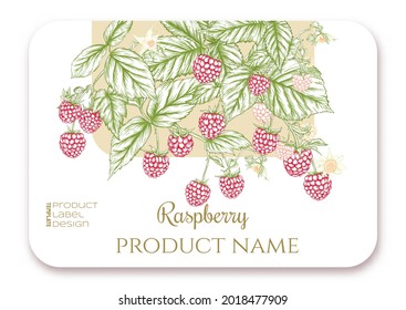 Himbeere. Reifenbeeren auf Zweig. Vorlage für das Produktetikett, kosmetische Verpackung. Leicht zu bearbeiten. Grafische Zeichnung, Gravierungsstil. Vektorgrafik...