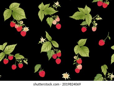 Frambuesa. Fresas maduras en la rama. Patrón sin inconvenientes, fondo. Dibujo gráfico, estilo de grabado. Ilustración vectorial sobre fondo negro.