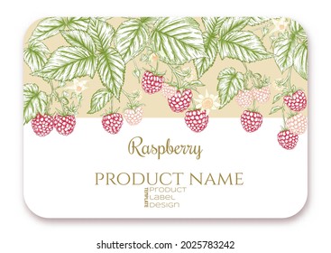 Raspberry. Ripe berries on branch. Template for product label, cosmetic packaging. Easy to edit. Graphic drawing, engraving style. Vector illustration..