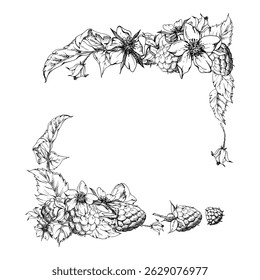 Framboesa amadurecida bagas de jardim, botões de flores folhas desenhadas à mão em tinta vetorial. Ilustração isolada de quadro quadrado de canto. Artigos de papelaria florista de casamento