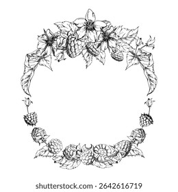 Framboesa madura bagas de jardim botões de flores folhas grinalda, mão desenhada em tinta vetorial. Amora de amora-branca-silvestre amora tayberry. Ilustração isolada de quadro circular. Loja de florista de papelaria de casamento