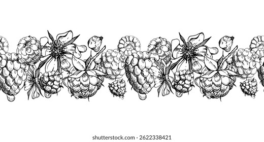 Raspberry ripe garden berries, flowers in water dew drops hand drawn in vector ink. Seamless isolated banner garland. Home preserves, textile washi tape, food store decor, recipe book, dessert menu
