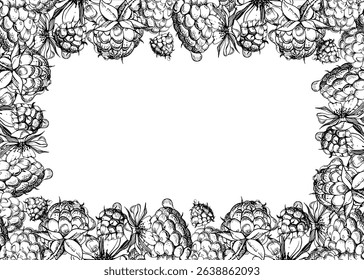Raspberry ripe garden berries, flowers in water dew drops hand drawn in vector ink. Isolated border frame. Home preserves, kitchen linens prints, food store decor, recipe book, dessert menu, cards