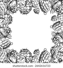 Raspberry ripe garden berries, flowers in water dew drops. Isolated square border frame hand drawn in vector ink. Home preserves, kitchen linens prints, food store decor, recipe book, dessert menu