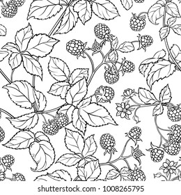 raspberry seamless pattern