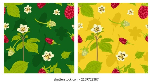 Raspberry seamless pattern with flower