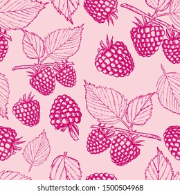 Raspberry seamless pattern. Sketch berries and leaves on pink background. Vintage style vector illustration for textile, scrapbooking, clothing design