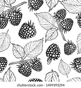 Raspberry seamless pattern. Sketch black berries and leaves on white background. Vintage style vector illustration for textile, scrapbooking, clothing design