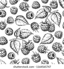 Raspberry seamless pattern. Vector drawing. Isolated berry branch sketch .  Summer fruit engraved style background. Detailed hand drawn vegetarian food. Great for packaging design, tea or juice label,
