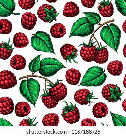 Raspberry seamless pattern. Vector drawing. Isolated berry branch sketch on white.  Summer fruit background. Detailed hand drawn vegetarian food. Great for packaging design, tea or juice label, print