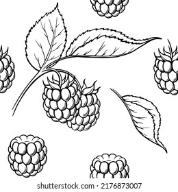 Raspberry seamless pattern. Vector drawing. Isolated berry branch sketch. Summer fruit engraved style background. Detailed hand drawn vegetarian food