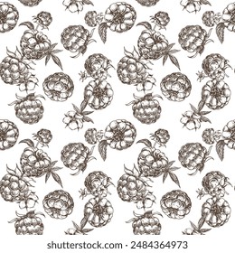 Raspberry seamless pattern. Vector drawing. Isolated sketch of berries and leaves in engraving style on white background. Detailed line sketch, hand drawn. The background for packaging design, labels.