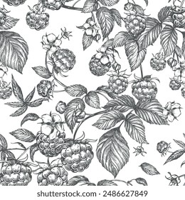 Raspberry seamless pattern. Vector drawing. Isolated sketch of berries and leaves in engraving style on white background. Detailed line sketch, hand drawn. The background for packaging design, labels.