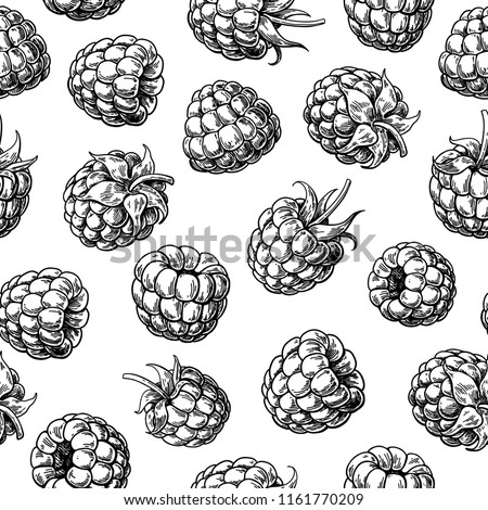 Raspberry seamless pattern. Vector drawing. Isolated berry branch sketch .  Summer fruit engraved style background. Detailed hand drawn vegetarian food. Great for packaging design, tea or juice label,