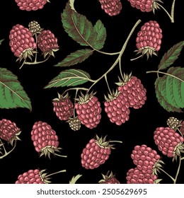 Raspberry seamless pattern vector illustration