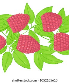 Raspberry Seamless Patterns. Endless ornament twig of forest plant. Background leaves and cluster of berry.