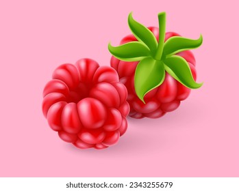 Frambuesa. Conjunto de frutas frescas maduras. Frutos realistas frambuesas, con fondo morado. Ilustración del vector