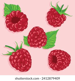 Raspberry set. Vector image of fruits. Summer berries.