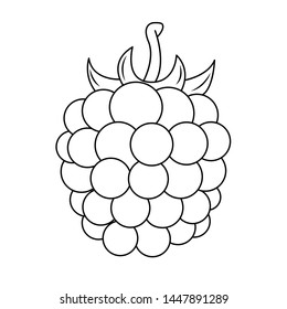 Raspberry silhouette, children's coloring book. Fruits and vegetables.