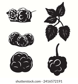 Raspberry silhouettes vector looking very nice
