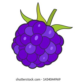 Raspberry Sketch Vector Illustration Ready For Your Design, Greeting Card