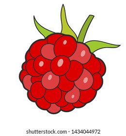 Raspberry Sketch Vector Illustration Ready For Your Design, Greeting Card