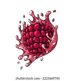 raspberry splash hand drawn vector. fruit juice, berry food, red drink, drop liquid, healthy natural organic ripe raspberry splash sketch. isolated color illustration