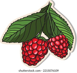 raspberry sticker on white background