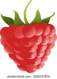 Raspberry or strawberry berry isolated on white background. Vector badge or logo that can be used to create and print a brand logo.