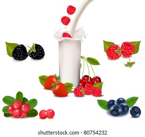 Raspberry and strawberry falling into the milk splash. Vector illustration.