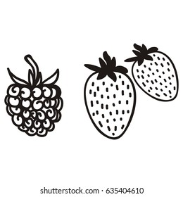 Raspberry and strawberry. Vector illustration.