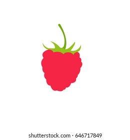 Raspberry, Sweet berry  background. Vector icons. Illustration with raspberry. Raspberry, vector, illustration, organic, art, background, berry, bio, blackberry, card, collection