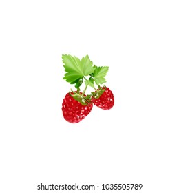 Raspberry. Sweet fruit. 3d vector icons set. Realistic illustration