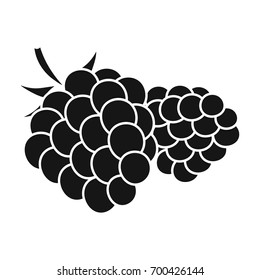 Raspberry, sweet fruit.Fruit single icon in black style vector symbol stock illustration web.