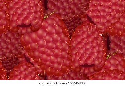 Raspberry. Sweet summer berry. Seampless vector pattern.