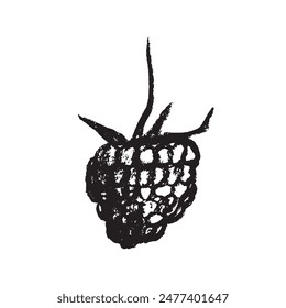 Símbolo de frambuesa, ilustración de frambuesas. Vector monocromo dibujo de frambuesas o moras dibujado. Icono de la baya roja para el embalaje de confitería. Un boceto de Blackberry. Signo de Mulberry.