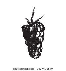 Símbolo de frambuesa, ilustración de frambuesas. Vector monocromo dibujo de frambuesas o moras dibujado. Icono de la baya roja para el embalaje de confitería. Un boceto de Blackberry. Signo de Mulberry.