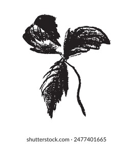 Raspberry symbol, raspberries illustration. Vector monochrome drawing of raspberries or blackberries drawn. Red berry icon for confectionery packaging. Blackberry sketch. Mulberry sign.