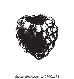 Símbolo de frambuesa, ilustración de frambuesas. Vector monocromo dibujo de frambuesas o moras dibujado. Icono de la baya roja para el embalaje de confitería. Un boceto de Blackberry. Signo de Mulberry.