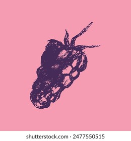 Raspberry symbol, raspberries illustration. Vector monochrome raspberries and blackberries drawings. Red berry icon for logo design. Blackberry sketch. Handdrawn mulberry sign.