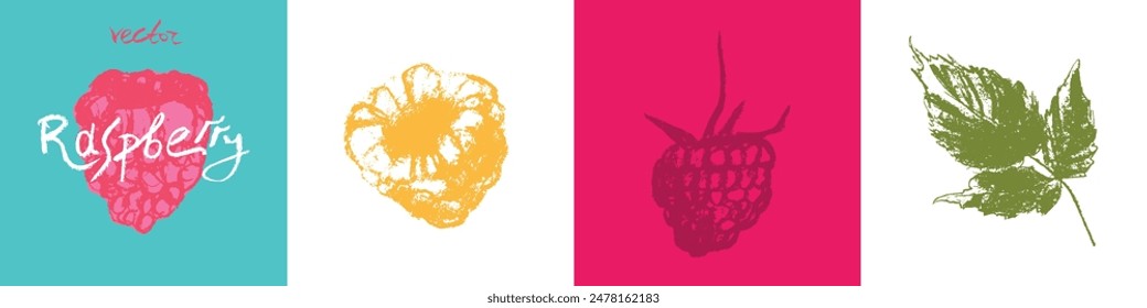 Símbolos de frambuesa. Conjunto de iconos vectoriales de frambuesas. Letreros de Plantilla y zarzamoras con logo de frambuesas. Insignias de bayas rosas. Esbozos de Blackberry. Ilustraciones de morera dibujadas a mano.
