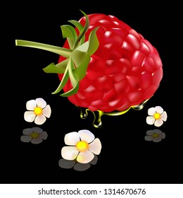 
raspberry tea with flowers on a black background