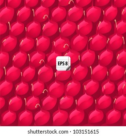 raspberry texture